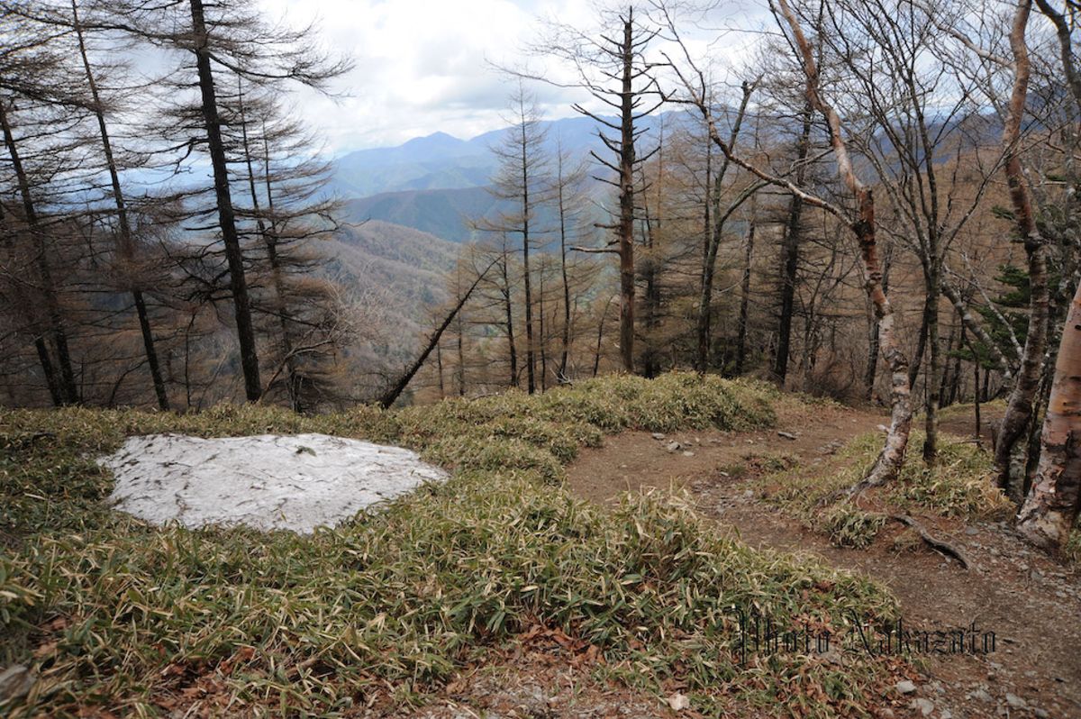 雲取山　日帰り登山